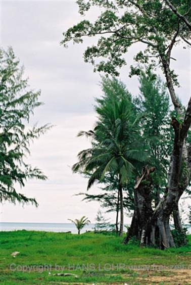 16 Thailand 2002 F1080016 Khao Lak Hotel Tropicana Strand_478